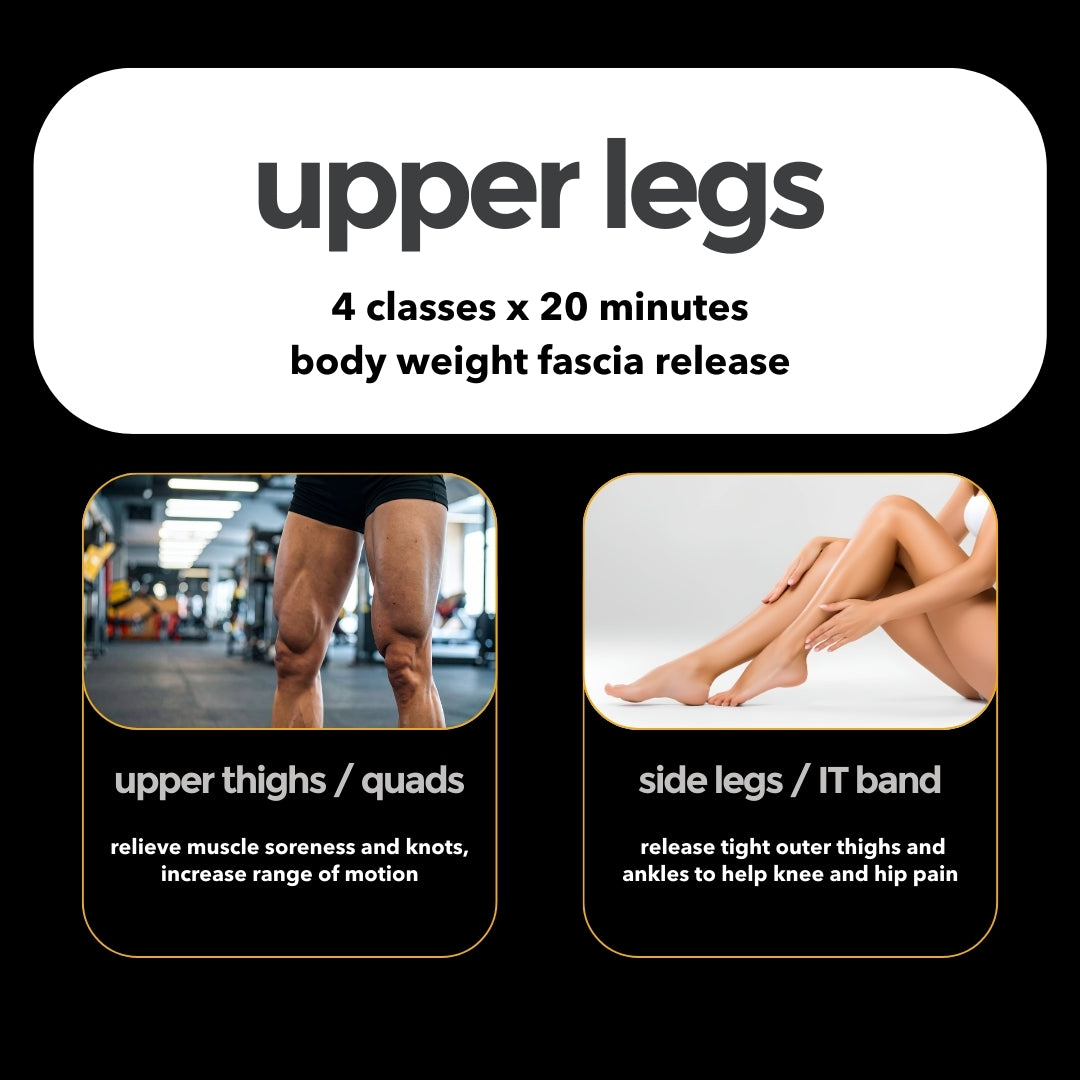upper legs