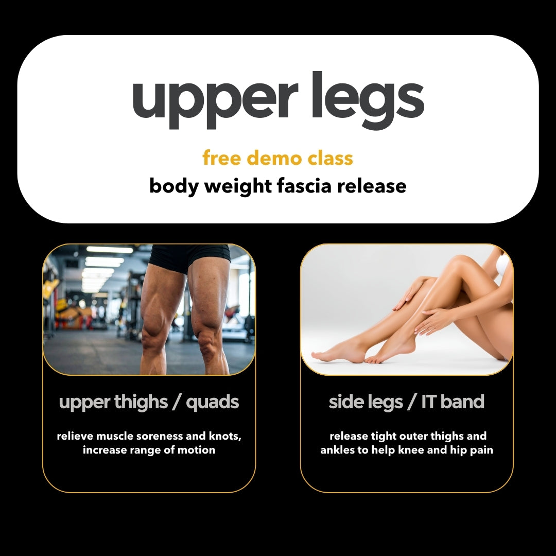free class - upper legs day one